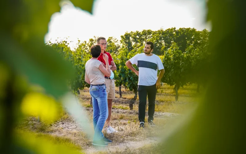 Domaine Gardien à Besson